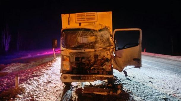 Водитель легкового автомобиля погиб в аварии с грузовиком под Новосибирском