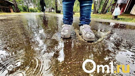 В Новосибирске количество осадков в сентябре будет на 42% больше, чем в 2022 году