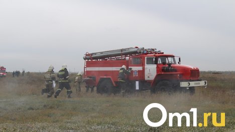 Омичам рассказали о мобильном приложении, с помощью которого можно сообщать о пожарах