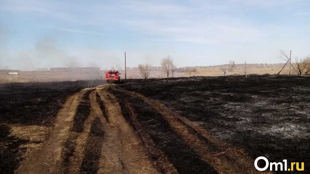 «Регион в огне»: 150 тысяч гектаров земли пострадало от пожаров в Новосибирской области