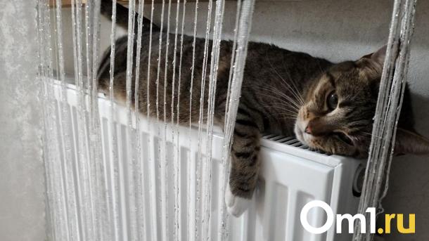 В Омском районе жители посёлка Горячий Ключ могут остаться без котельной