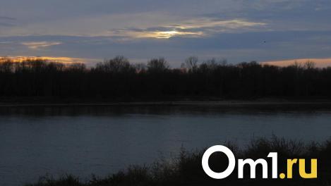 Омич на гидроцикле вылетел из воды и протаранил дерево
