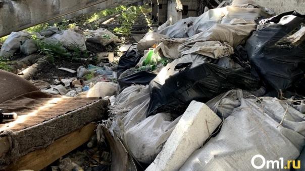 Омск избавится от двух закрытых свалок к лету следующего года