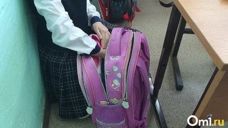 Ударила ногой по лицу: глава СКР Бастрыкин поручил доложить о проверке после драки новосибирских школьниц