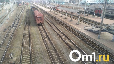 Поезд сбил пенсионерку в Новосибирской области