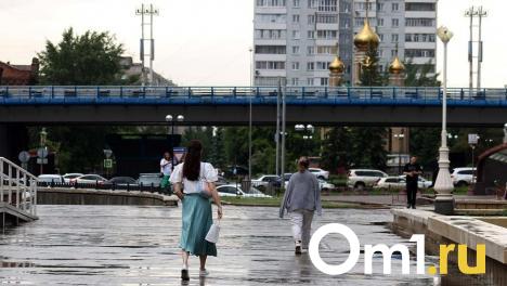 На омский метромост выделят 125 миллионов: объявлен аукцион на содержание и ремонт