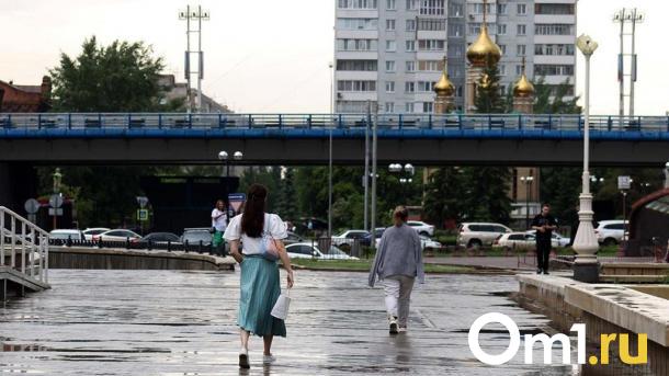 На омский метромост выделят 125 миллионов: объявлен аукцион на содержание и ремонт