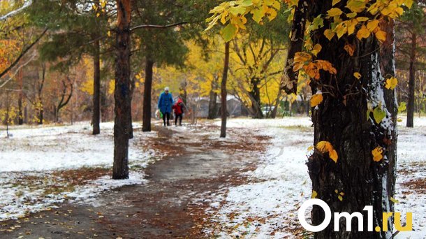 Снежная буря и ледяные иглы обрушатся на Омскую область на следующей неделе