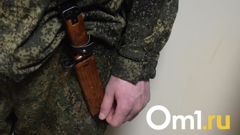«Украина всё время была нарывом на теле России»: омские политологи – о признании независимости ДНР и ЛНР