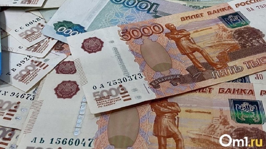 В Омске мошеннику грозит до 6 лет тюрьмы за хищение больше 1,1 млн рублей