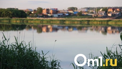 Можно подхватить гепатит и лептоспироз. Рассказываем, в каких водоёмах Омской области опасно купаться