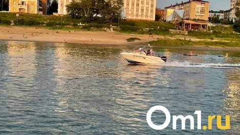 Два жителя Омской области могут сесть на 8 лет за ловлю краснокнижных осетров