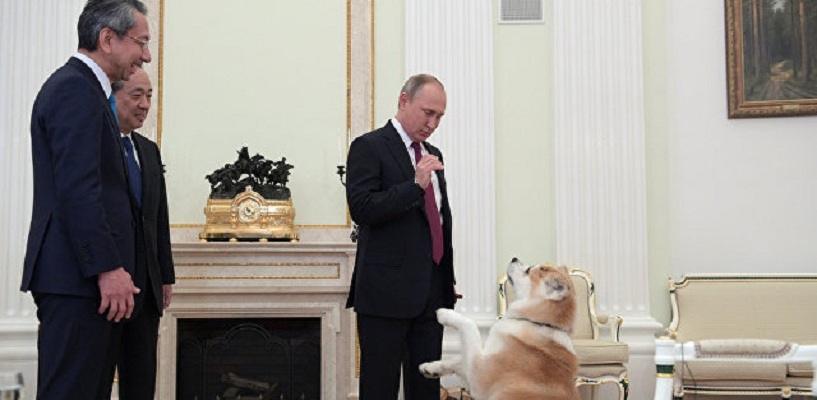 Путин У Камина Фото