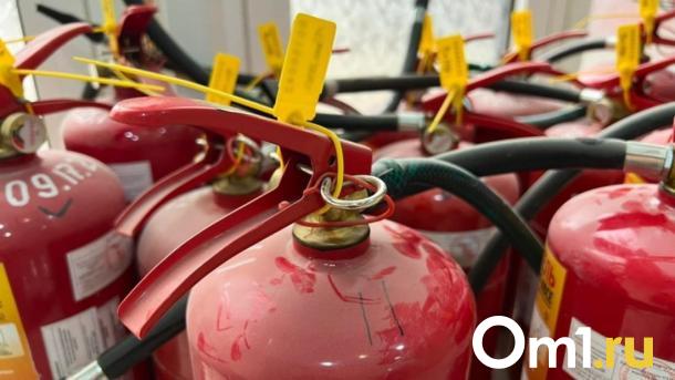 Огонь уничтожил дом 83-летнего ветерана под Новосибирском