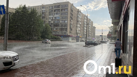 Шквалистый ветер в 25 метров в секунду ожидается в Новосибирске