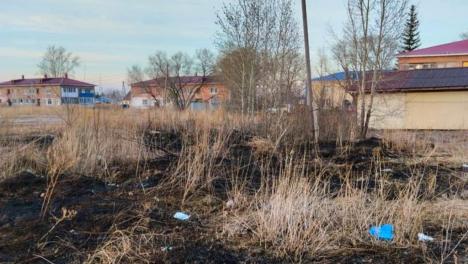 В Омской области школьники подожгли сухую траву и устроили пожар