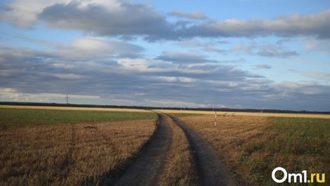 «Накормили чойсами и хлебом». Пассажиры автобуса из Омска рассказали, как ночевали в степи