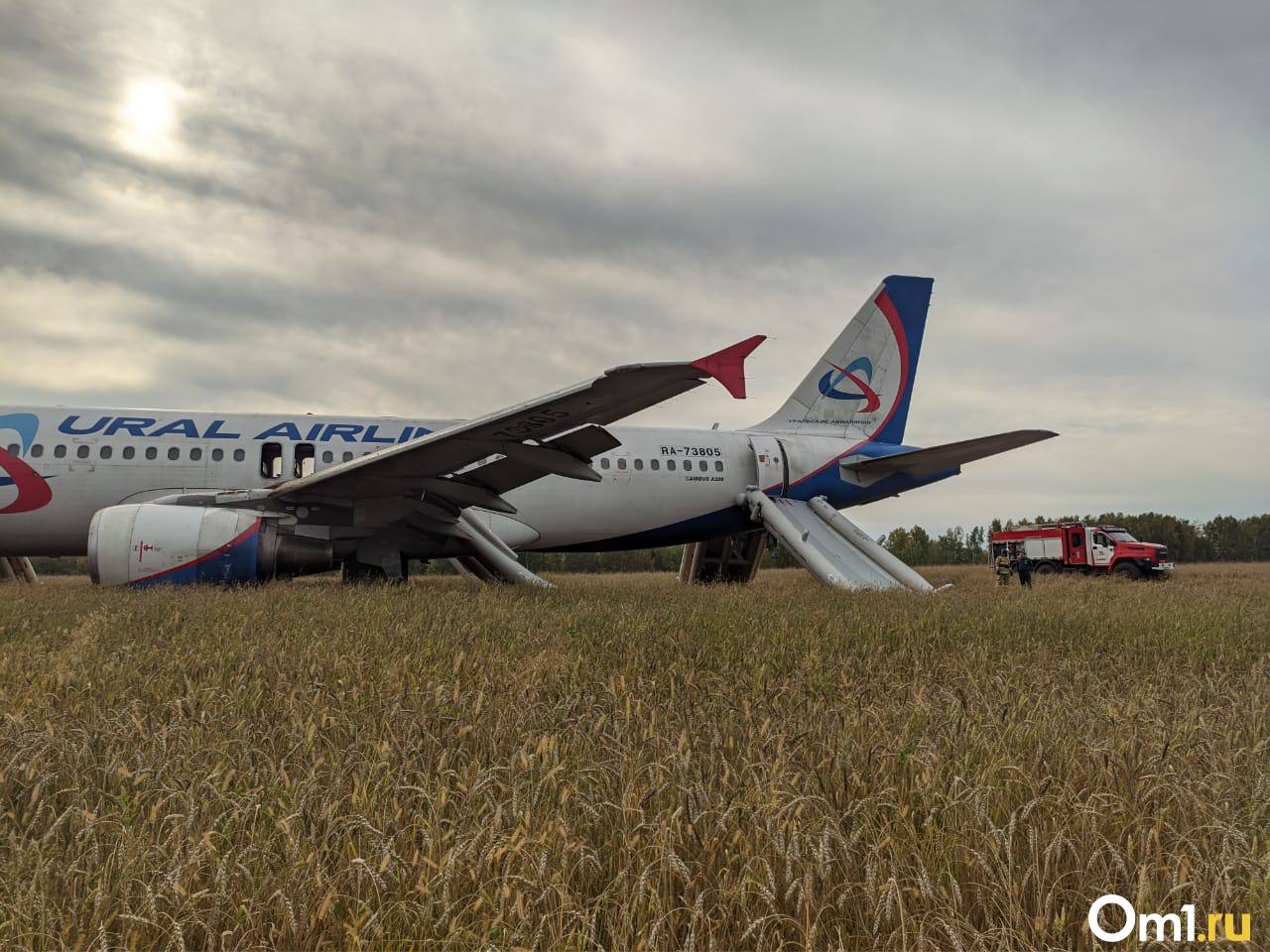 Пассажирский самолет экстренно сел в поле в Новосибирской области. ОНЛАЙН  РЕПОРТАЖ | 12.09.2023 | Омск - БезФормата