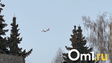 Из Омска в Ташкент вылетел первый прямой рейс после долгого перерыва