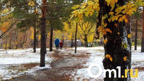 В Омске определили 13 проектов для благоустройства города на 2025 год