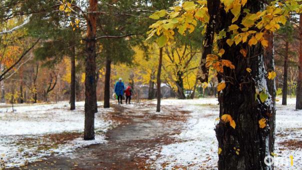 В Омске определили 13 проектов для благоустройства города на 2025 год