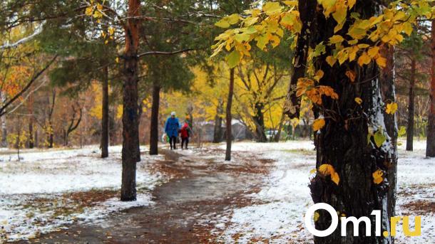 В Омске определили 13 проектов для благоустройства города на 2025 год