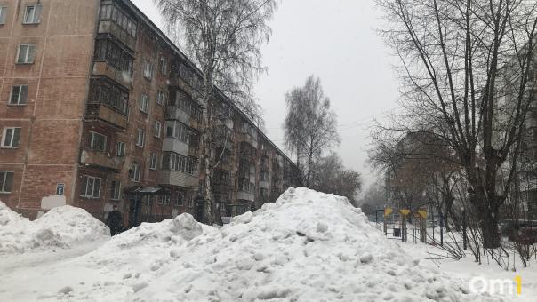 Неделя снегопадов ожидается в Новосибирске с 27 февраля