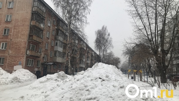 Неделя снегопадов ожидается в Новосибирске с 27 февраля