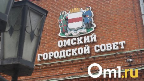 Горсовет утвердил новую структуру омской мэрии