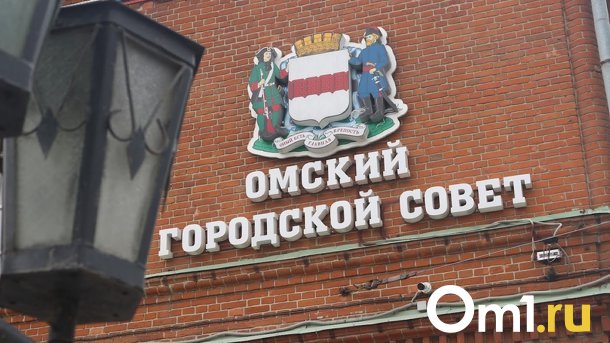 Горсовет утвердил новую структуру омской мэрии