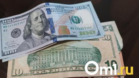 Фокстерьер Бьёрн — на страже: собака помогла задержать $3,4 тысячи в Новосибирске