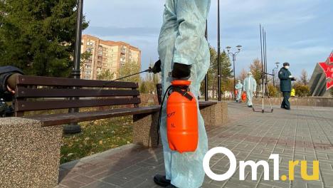 Ситуация с коронавирусом в Омской области пошла на спад