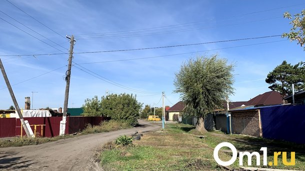 Весь омский частный сектор хотят за пять лет оснастить тротуарами