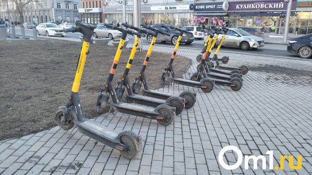 Омичи поддержали введение штрафов за вождение электросамоката в пьяном виде