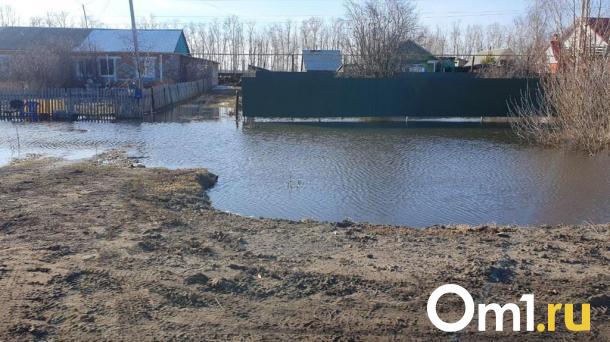 Сильные паводки могут затопить Омскую область в этом году