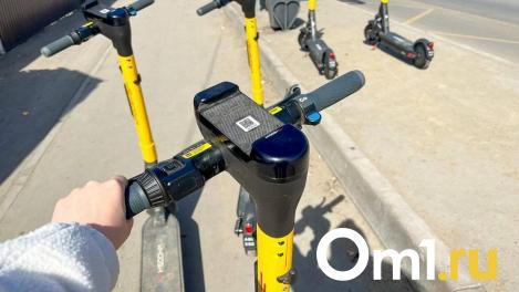 Больше трети омичей ненавидят элетросамокатчиков