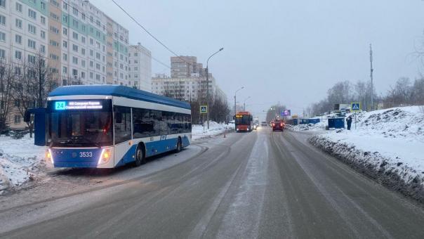 В Новосибирске троллейбус сбил семилетнюю девочку на пешеходном переходе