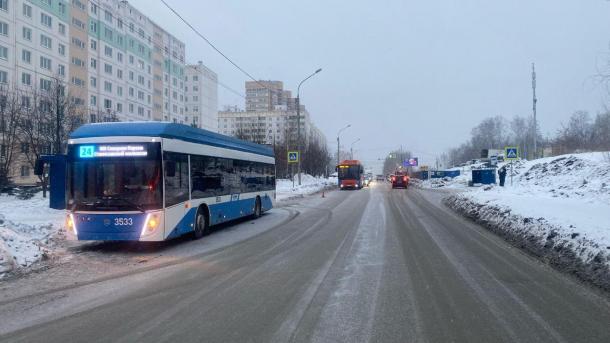 В Новосибирске троллейбус сбил семилетнюю девочку на пешеходном переходе
