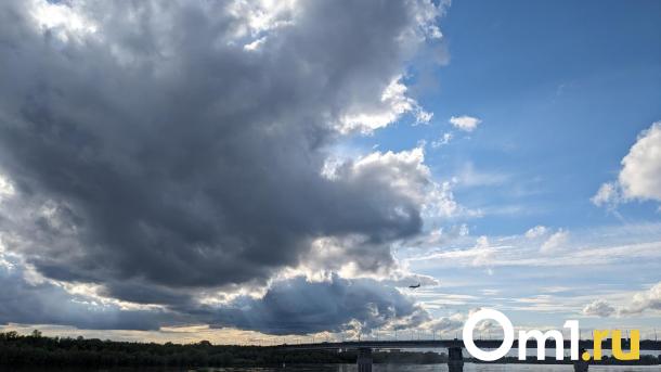 Жарко и дождливо: синоптики предупредили о грозах в Омской области