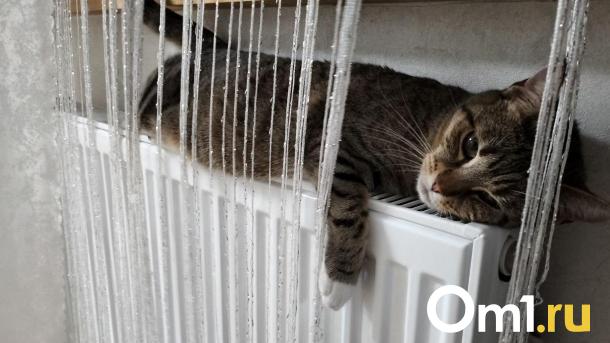 Опубликованы примерные сроки отключения отопления в Омске