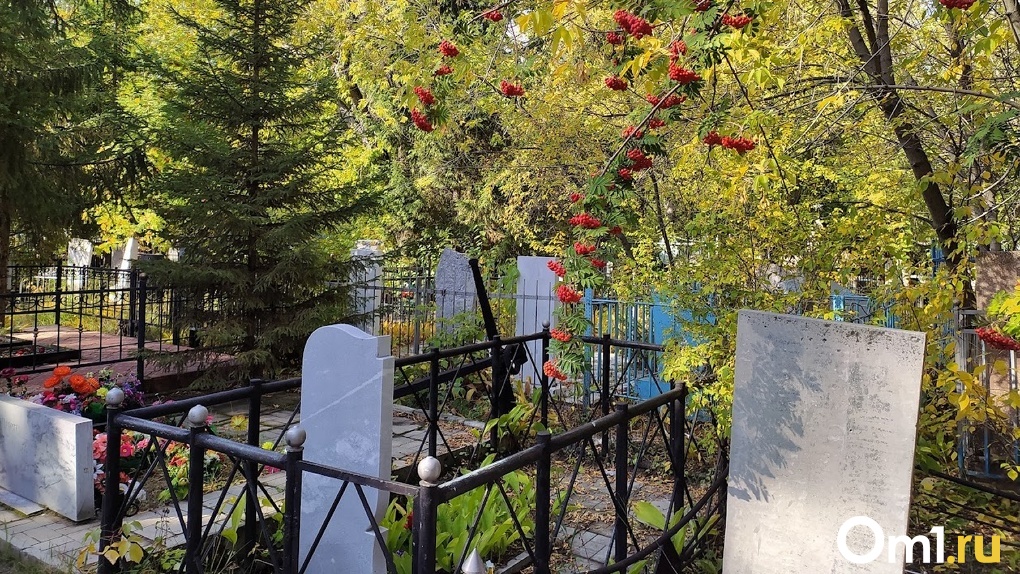 Новосибирск украина погибших. Омское кладбище. Кладбище фото. Кладбища Новосибирска.