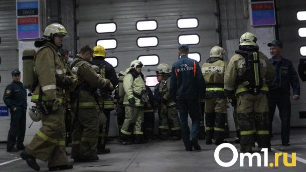Сезон лесных пожаров начался в Новосибирской области