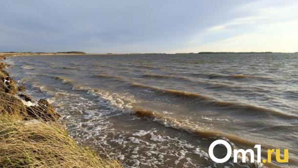 Печальная статистика: 56 детей утонули в водоёмах Сибири в 2024 году