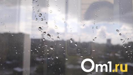Омскую область сегодня накроют дождь и сильный ветер