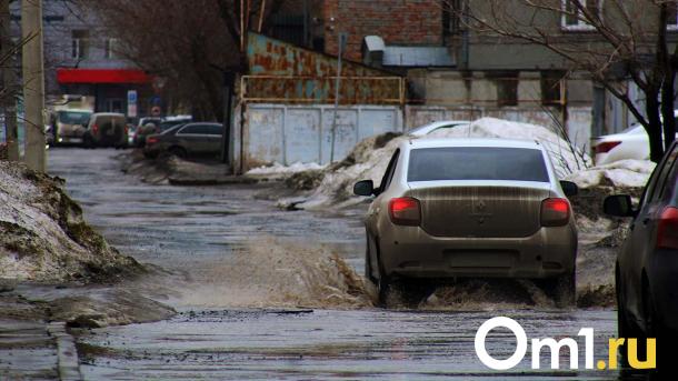 Омичам рассказали, могут ли наказать водителей за надписи на номерах