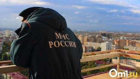 В Новосибирской области потушили 10 пожаров за сутки: горят трава и мусор