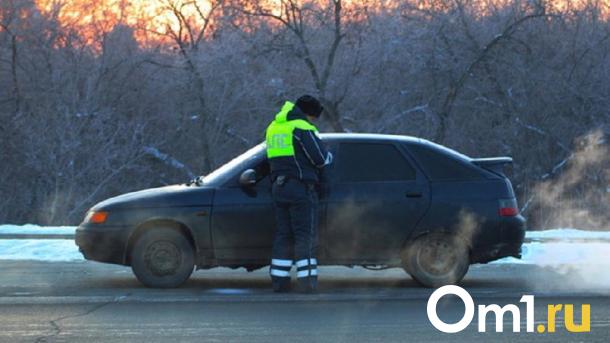 На новогодних праздниках в Омске поймали 102 пьяных водителя