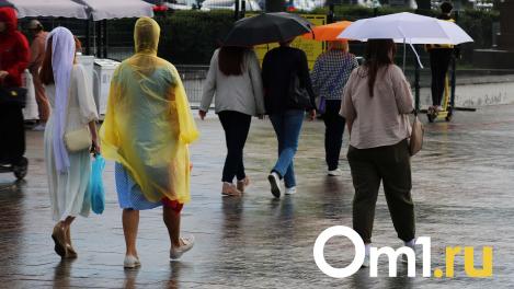 Омичей предупредили об очень сильном ветре