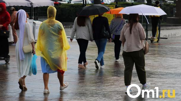 Омичей предупредили об очень сильном ветре