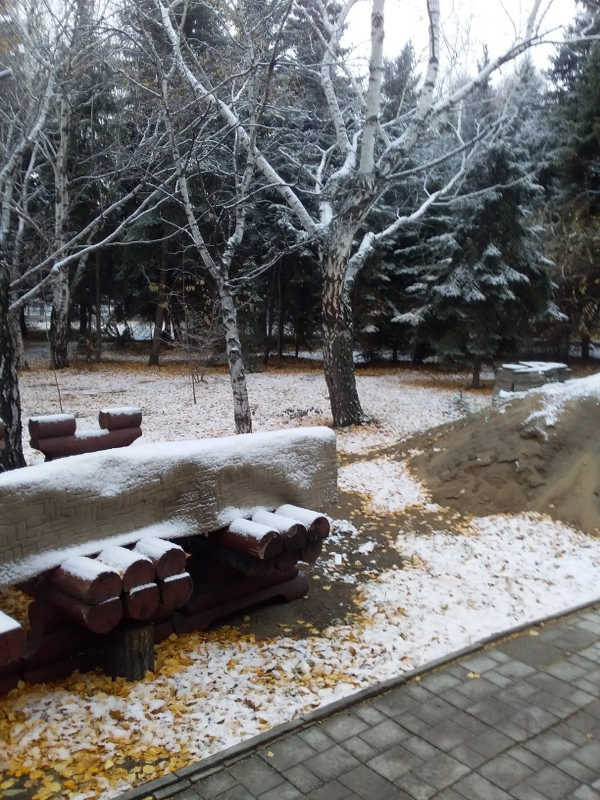 Омск выпал снег
